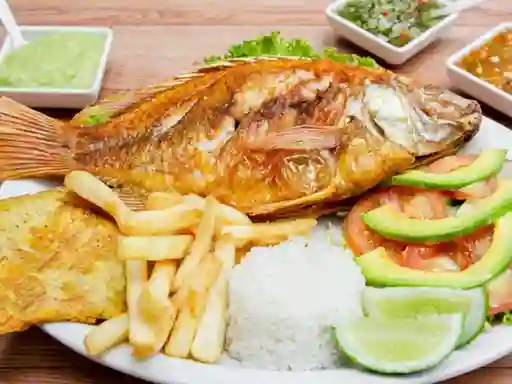 Mojarra Frita