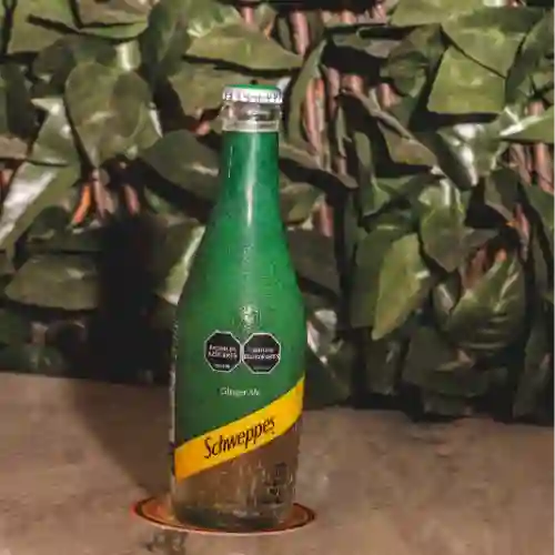 Schweppes Ginger Ale 300ML