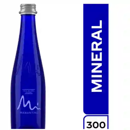 Agua manantial 300ml