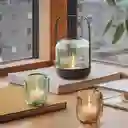 Evasolo Set Candelabro Acorn Verde