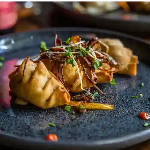 Gyoza (mandu)