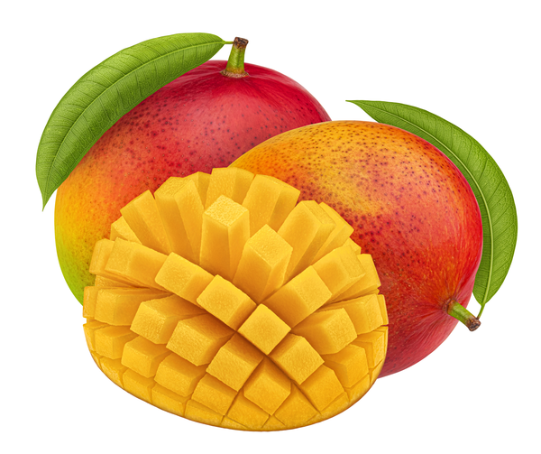 Mango Común x kg