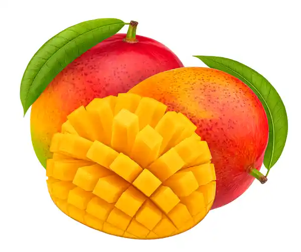 Mango Común