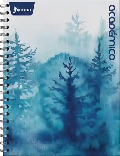 Norma Cuaderno Académico Rayado 160 Hojas Argollado