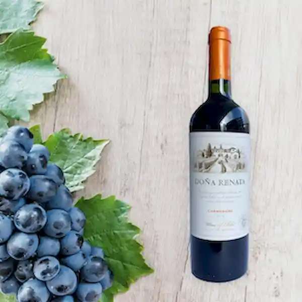 Doña Renata Vino Carmenere