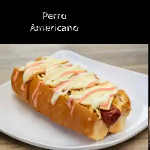 Perro Americano