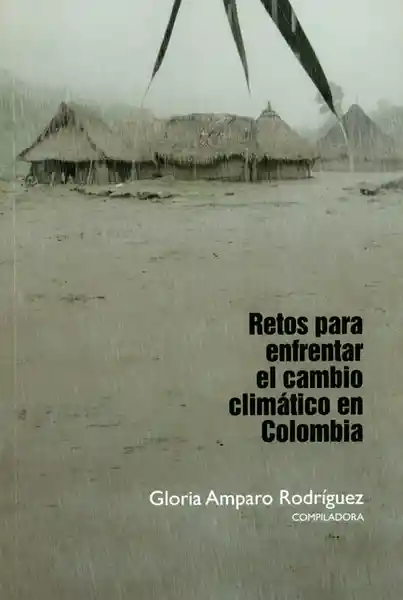 Retos Para Enfrentar el Cambio Climático en Colombia