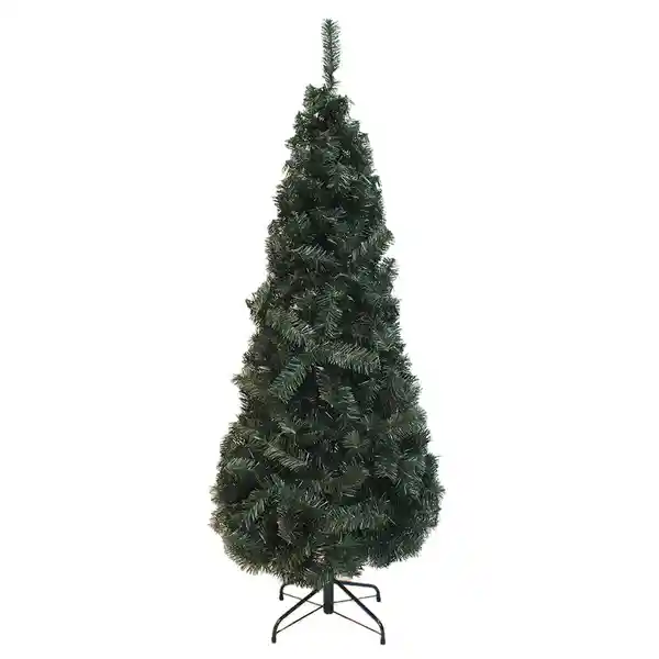 Pino Canario Verde 200 cm