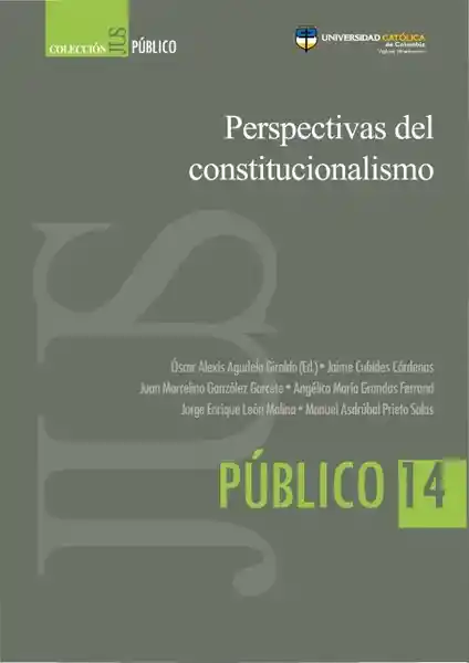 Perspectivas Del Constitucionalismo