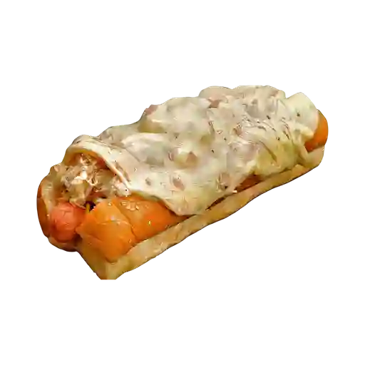 Perro especial