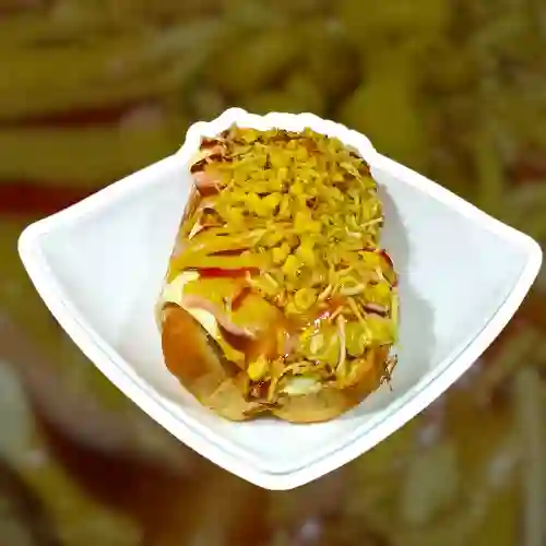 Mega Perro de la Casa