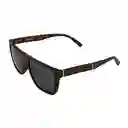 Gafas Para Hombre Color Havana X17130 Steve Madden