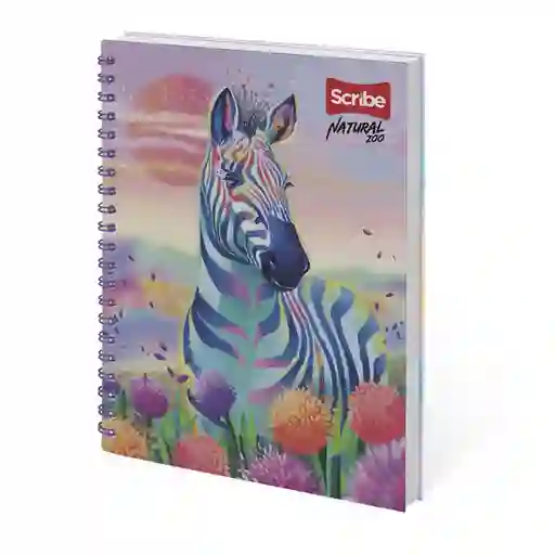 Scribe Cuaderno Cuadriculado Multimateria 160 Hojas