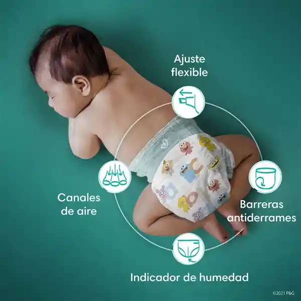 Pañales Pampers Baby Dry 1 120 Unidades