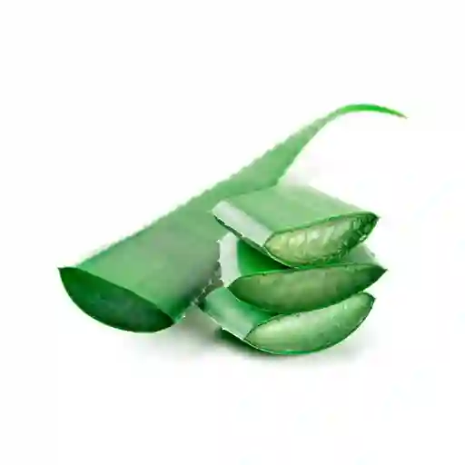 Hoja de Sábila