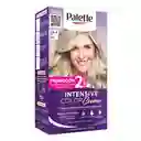 Tinte Palette Color Creme 10-1 Rubio Plata Cenizo