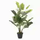 Ambiente Gourmet Planta Artificial Monstera