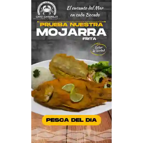 Mojarra Pesca Del Dia