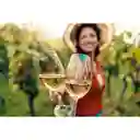 Marques De Riscal Vino Blanco Rueda Verdejo