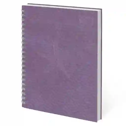 Scribe Cuaderno Argollado 105 Cuero Femenino 80 Hojas