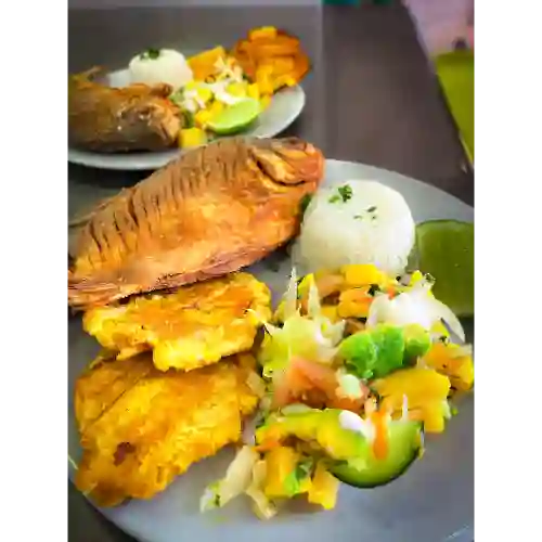 Cachama Frita
