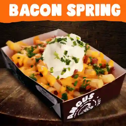 Bacon Spring