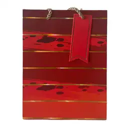 Nico Bolsa Toda Ocasión Fst (S)