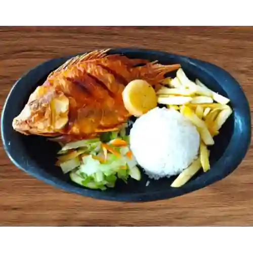 Tilapia Frita O Asada Al Barril