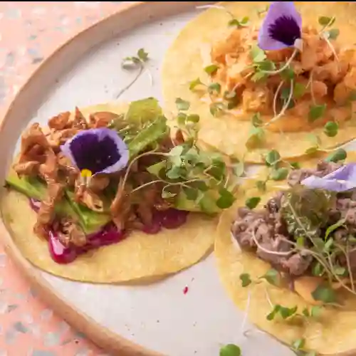 Tacos Gloriosos