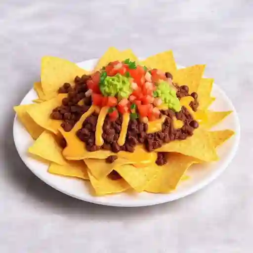 Nachos de birria