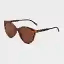 Barner Gafas Sun Belleville Carey