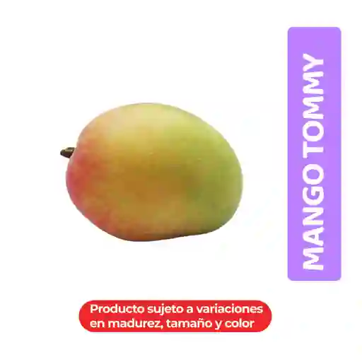 Mango Tommy Seleccionado