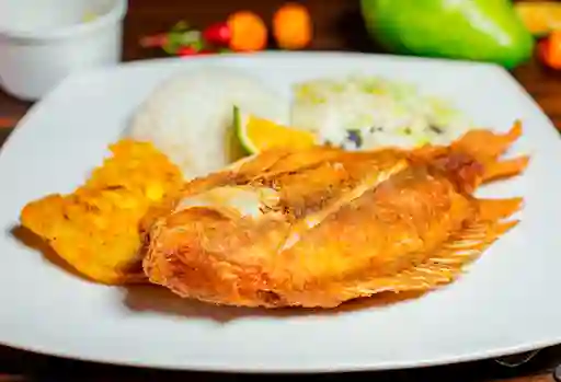 Tilapia Frita