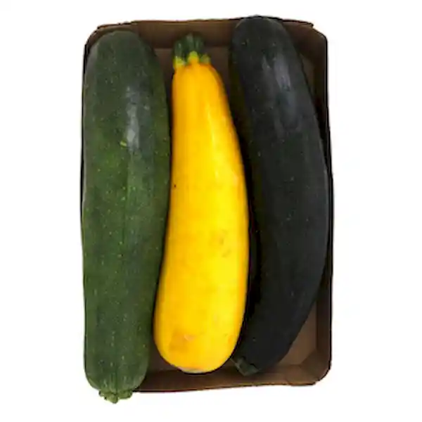 Zucchini