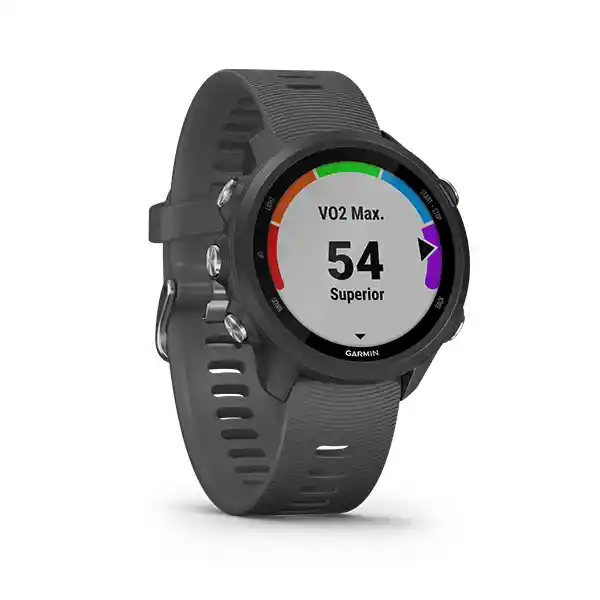 Garmin Reloj Forerunner 245