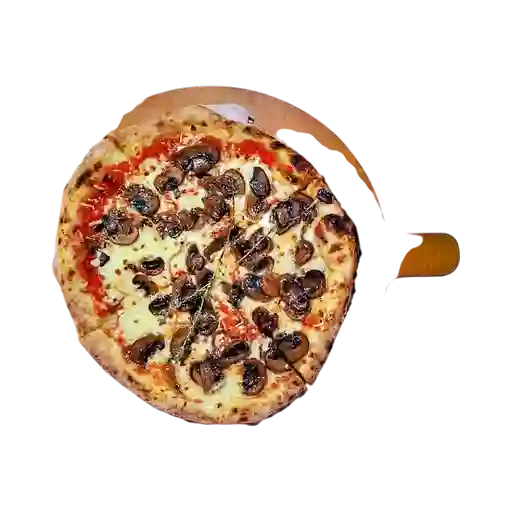 Hongos 315