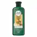 Shampoo de Cabello Herbal Essences Aguacate (400 Ml)