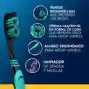 Oral B Cepillo Color Collection