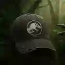 Gorra Serie Jurassic World Denim Miniso