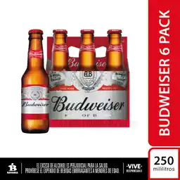 Budweiser Pack Cerveza Lager