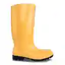 Croydon Botas Workman Safety Oil Resistant Hombre Amarillo T36