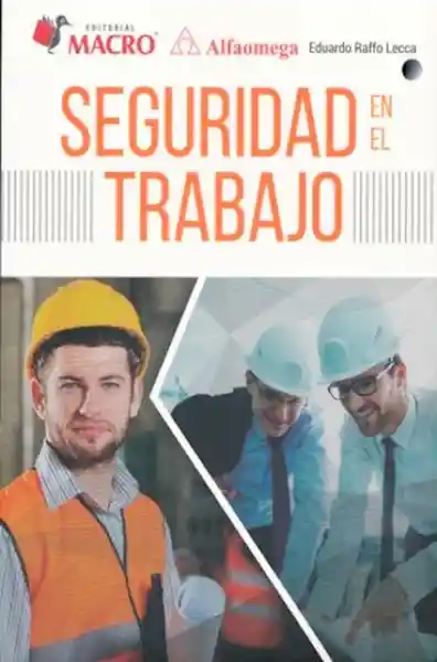 SEGURIDAD EN EL TRABAJO E. Raffo Lecca