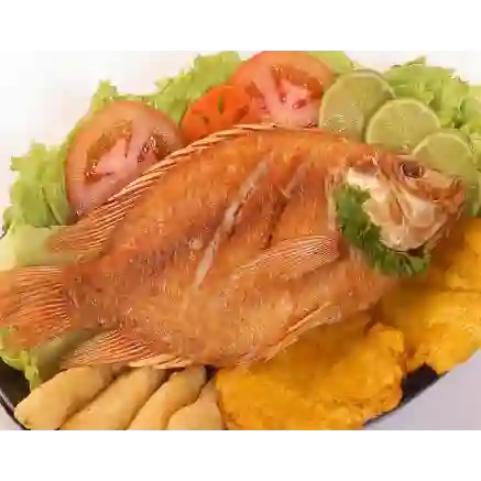 Mojarra Frita