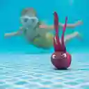 Waboba Pelota Buceo Peces