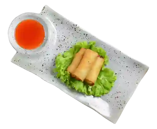 Spring Rolls Vegetariano