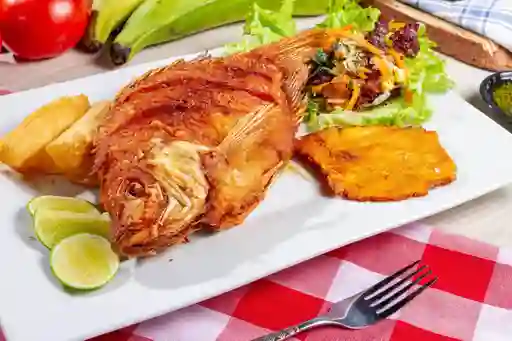 Mojarra Frita