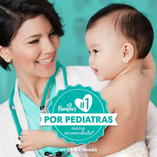 Pañales Pampers Baby Dry Etapa 7 54 U​nd