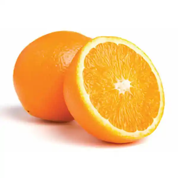 Naranja Común