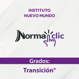 Instituto Nuevo Mundo_Transicion, Educactiva Sas