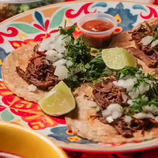 Tacos birria de res